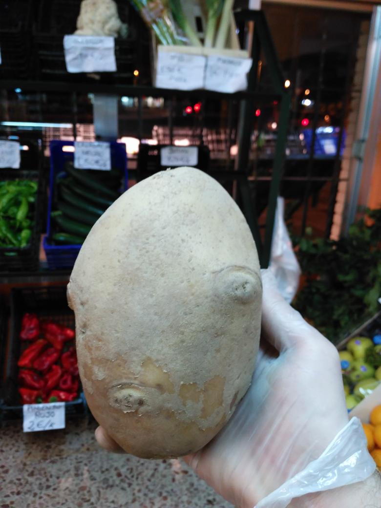 niiocarrasco's tweet image. En mi frutería me a entrado esta patata añeja que se parece a un personaje de un videojuego...sabéis a cual???