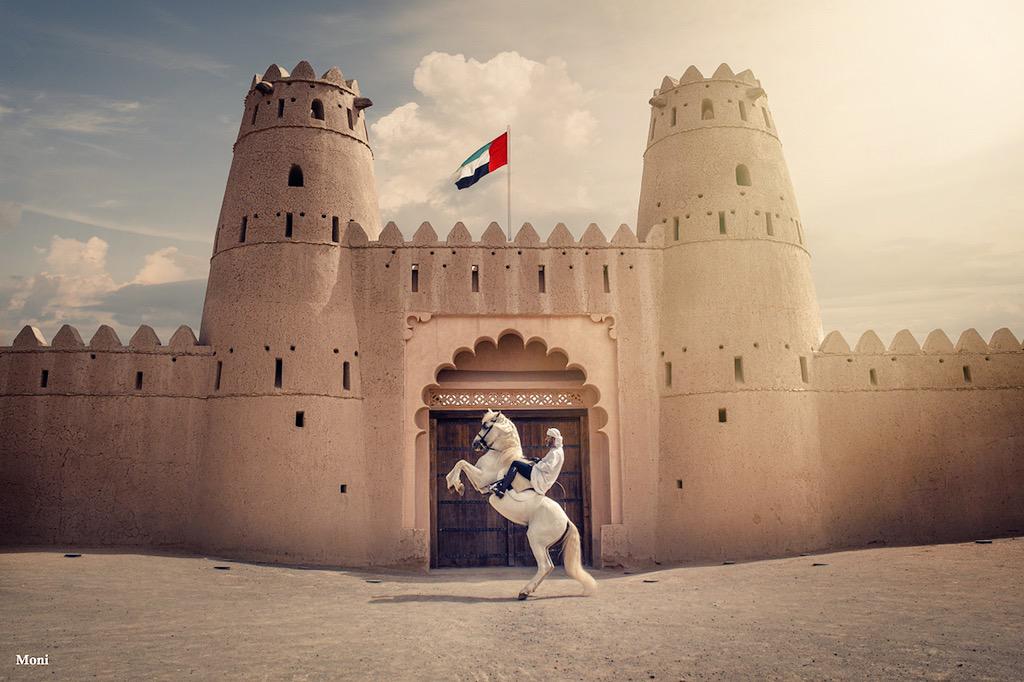 YahStables's tweet photo. #العين
#yahstables #yah UAE #AbuDhabi #horse #horsmanship #showjumping #mydubai #inabudhabi #اسطبلات_الياه #الياه https://t.co/CgUNTHhSxo