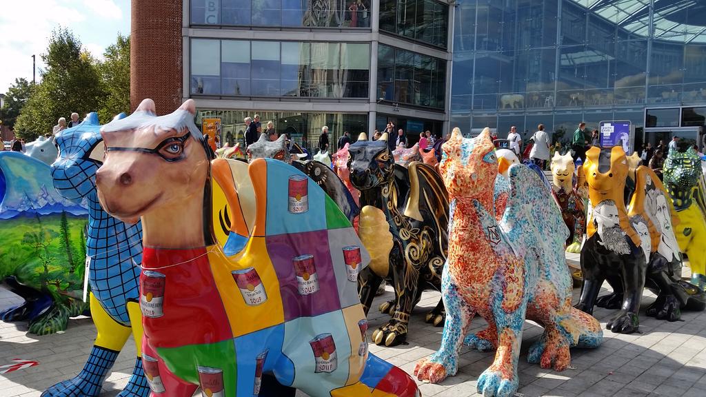 sandra cather tweet media