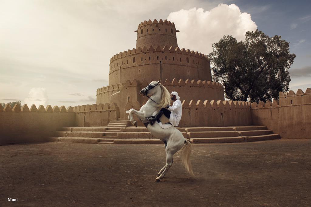 YahStables's tweet photo. #العين
#yahstables #yah UAE #AbuDhabi #horse #horsmanship #showjumping #mydubai #inabudhabi #اسطبلات_الياه #الياه https://t.co/H1pCS6N4Ck