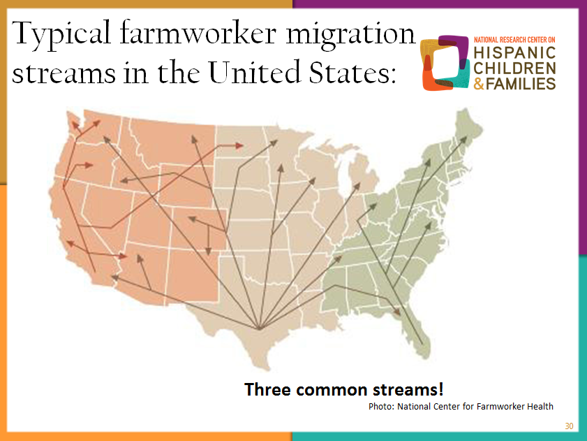 Migration Stream Migration Stream