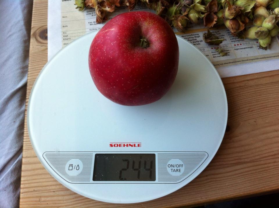 There's a lot of food in this #perma #apple :). 244 gram! Dejligt #æble