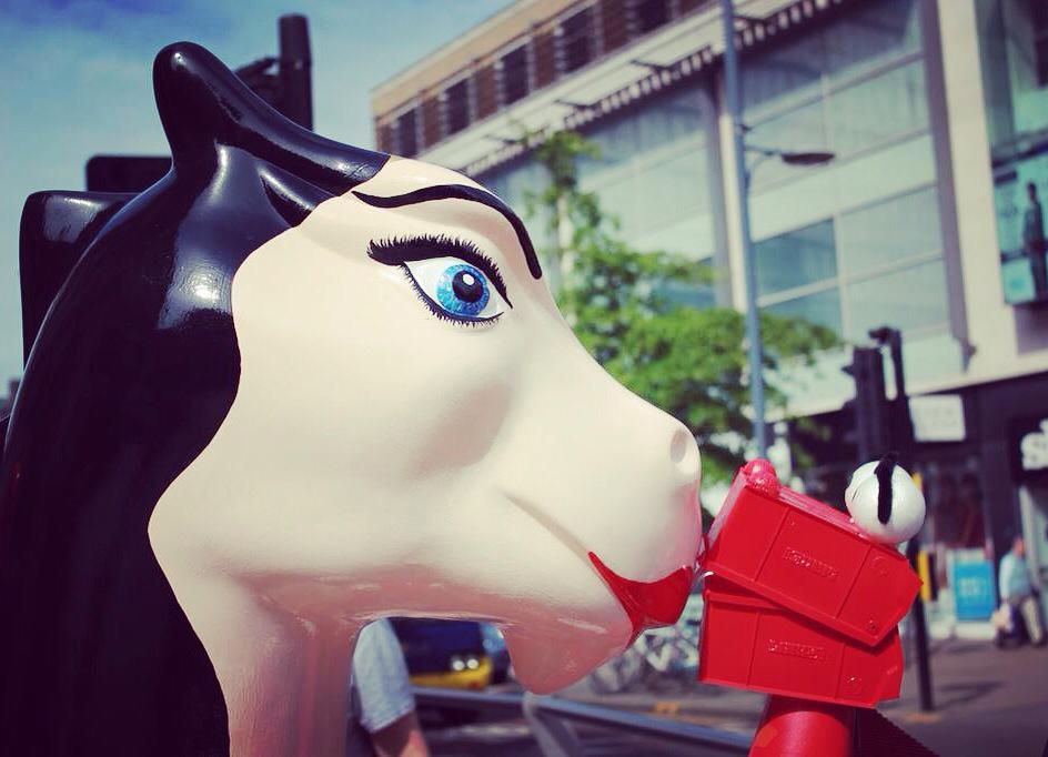 esedirect's tweet image. My girl @GoGoWonder is going home! Hooray I can see her soon!! #dragonlove #ggd15