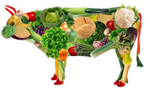 heuyeni's tweet photo. #MundoTips 01 de octubre Día Internacional del Vegetarianismo https://t.co/QA7Es3Xkcp https://t.co/9gTILbk9Al