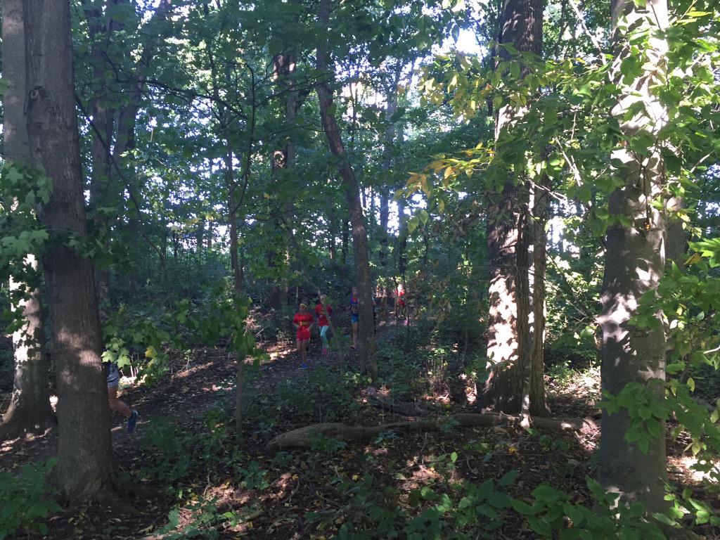 Harrisfield PS (@harrisfield1) on Twitter photo 