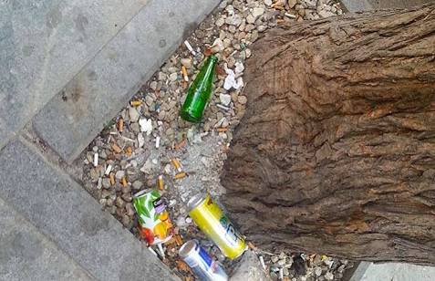 AlaattinCAGIL's tweet image. Ağaçların dibine çöp ve izmarit atan tek ülkeyiz. 👏👏👏
Paylaştım ki yapanlar belki görür ve UTANIR❗