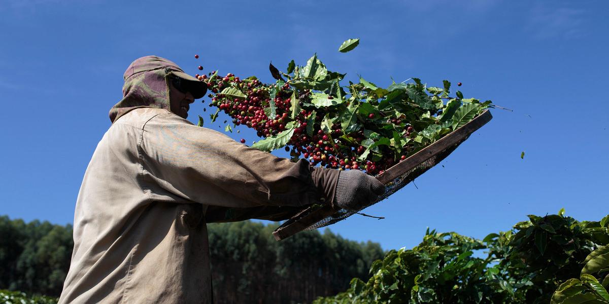 business's tweet photo. Global coffee shortage looms as market braces for climate change https://t.co/OSAQyvGtjK https://t.co/xSu0t5irLz