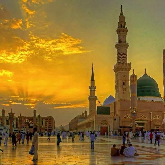 قصص من المسجد النبوي