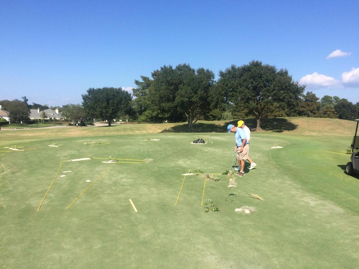 englishturngc's tweet photo. Putting contest is under way #member guest https://t.co/x6fgTHQsPE