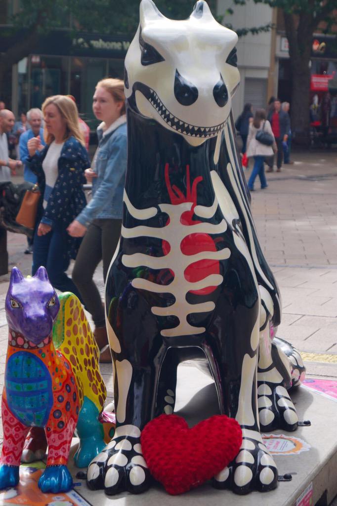 GoGoMorgan2015's tweet image. I'm going home!