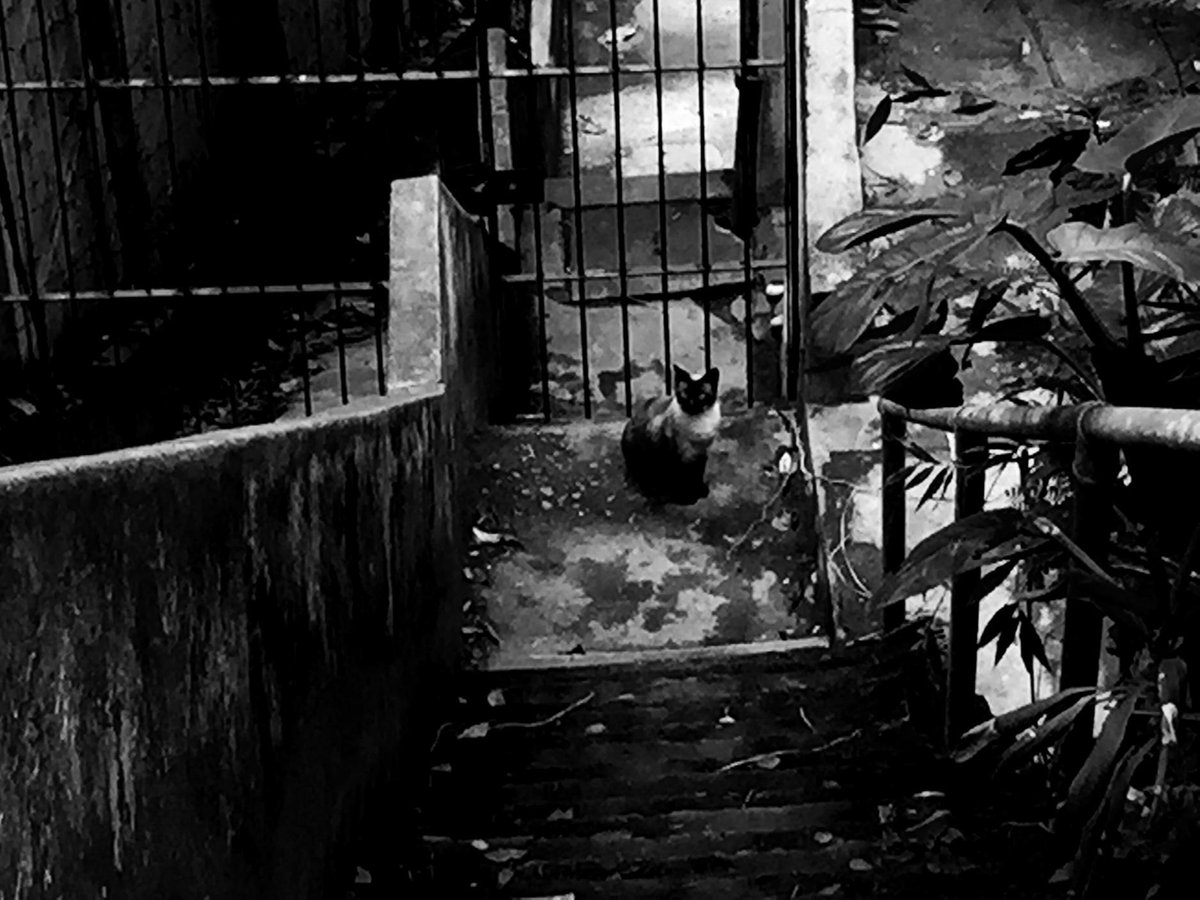 Dado Galdieri (@dadogaldieri) on Twitter photo 