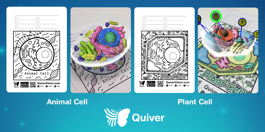 QuiverVision on Twitter: "Our Animal Cell #AR #coloring ...
