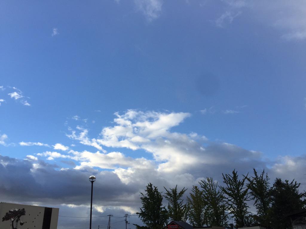 アトラン おはようございます 滝川市は台風の目の中の様に晴れてるけど周りはどす黒い雲に囲まれていて不気味です 風が強く倒木もかなり有りますね T Co Ohfagmepsl Twitter