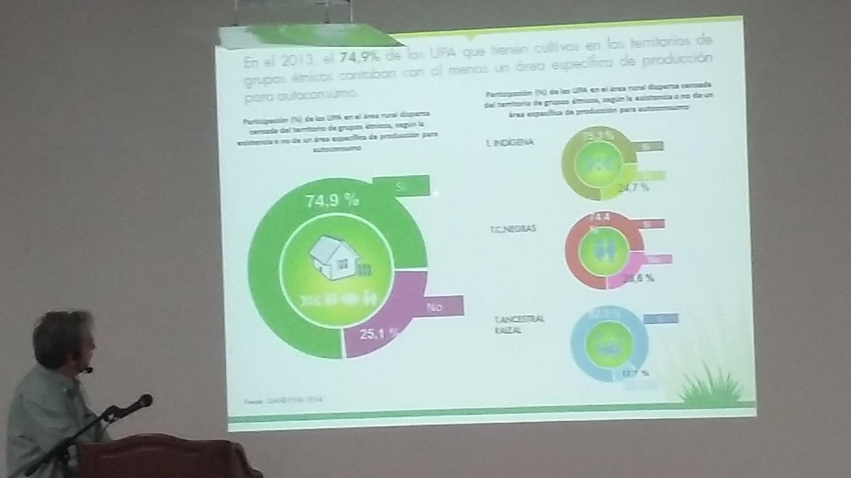 Explicación del  74, 9% de los UPA que tienen cultivos en territorios indigenas para autoconsumo.