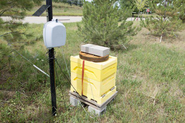 make's tweet photo. The Internet of Bees: Adding Sensors to Monitor Hive Health http://t.co/FUlVDvL1vc #IoT http://t.co/g8GqJH6paF