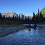 Photo by FishBritishColumbia (@Fish_BC)