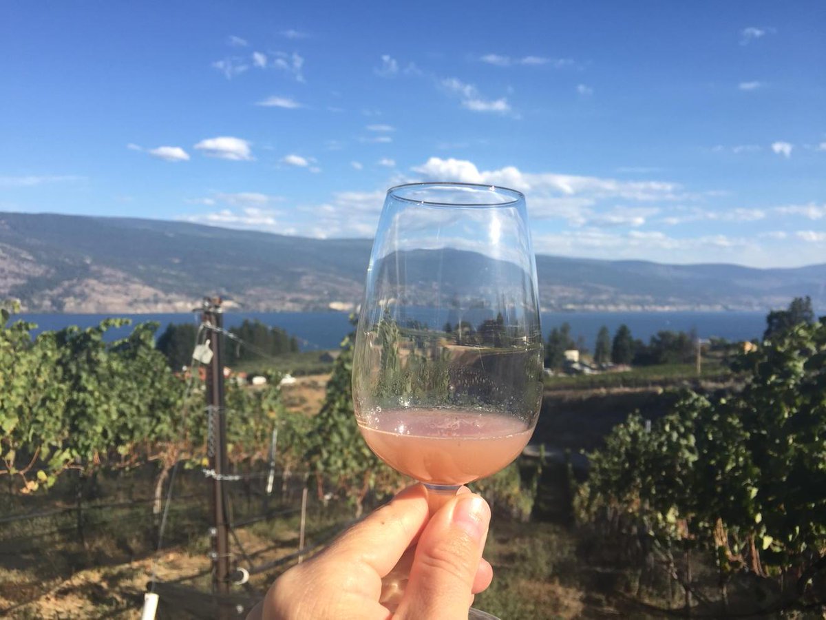kattancock's tweet photo. Fresh Okanagan pinot noir grape juice, picked and pressed an hour ago. #gomedia15 #explorecanada http://t.co/NAMJOi6gZZ