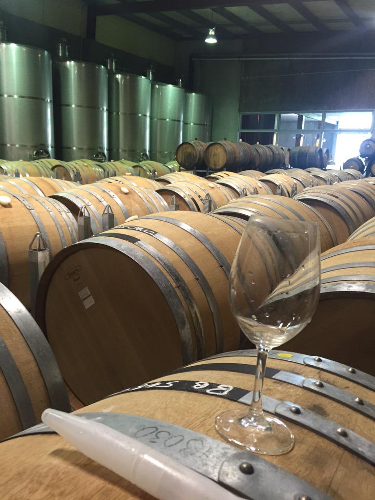 trinityhillwine's tweet photo. Tasting Chard in the cellar in the @GimbGravels but weather app thinks I'm in @BridgePaTriangl ?
Close but #nocigar http://t.co/o5iKkEbtmk