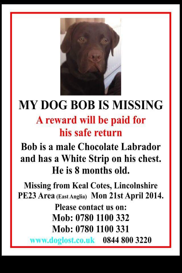 tracey6clark's tweet photo. Plz RT @findmurphyhusky @HelpFindThem14 @pettheftaware @MissingPetsGB @Petloglostfound @DoglostUK @FurbabiesUk http://t.co/68K3eIGssJ