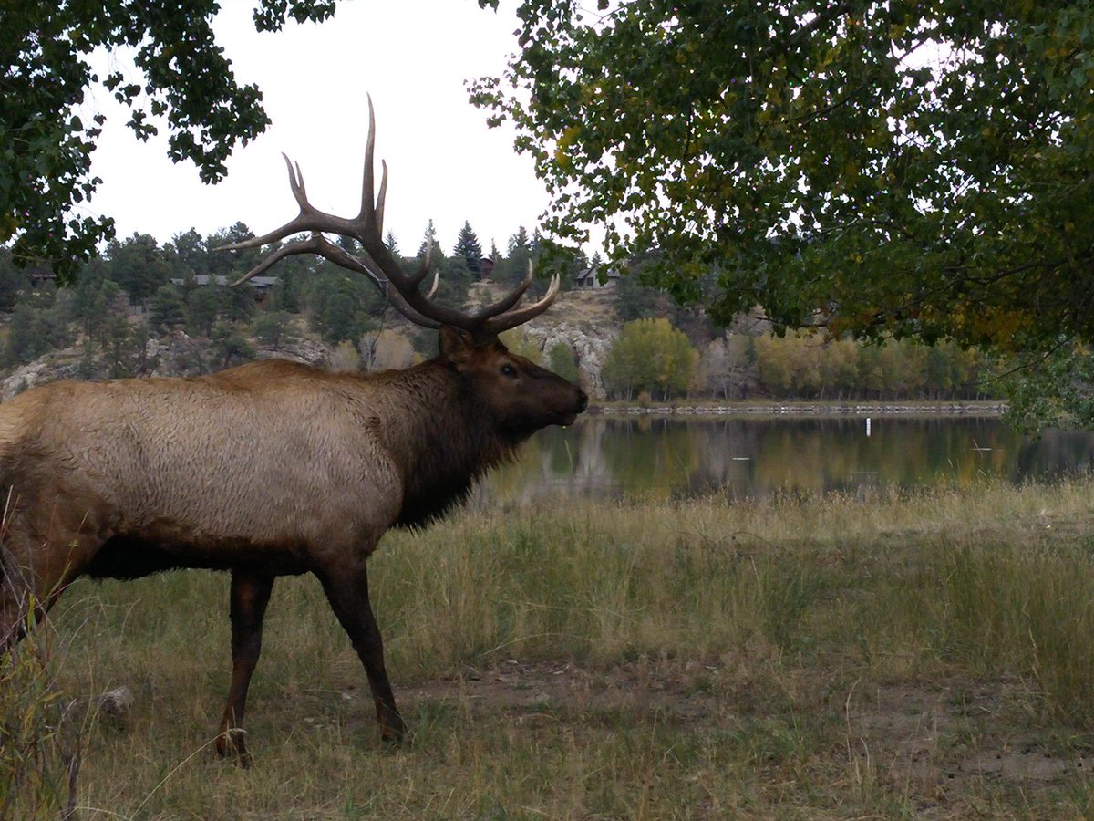 WXChaser_MJA's tweet photo. What a great day of outdoorsy fun! #WildColorado http://t.co/4Uy6Vns4nV