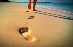 Steps and footprints become witnesses, continue to be a hero !! <a href="/myTrip_myAdvntr/">MY TRIP MY ADVENTURE</a>  <a href="/sumargodenny/">Denny Sumargo.</a> <a href="/nadinelist/">nadine chandrawinata</a>