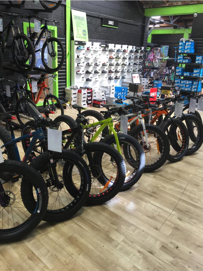 evolution cycles