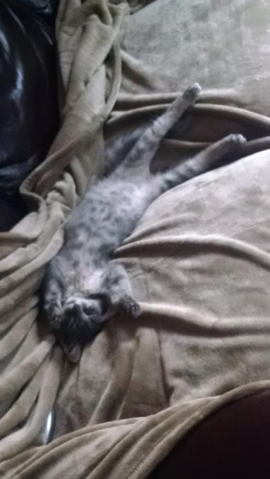 What a goober. http://t.co/J3mE6uIrBd<a href="/tag/thebigleap"class="tags"><span>#thebigleap</span></a>