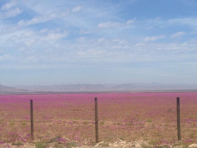 View image on Twitter View image on Twitter