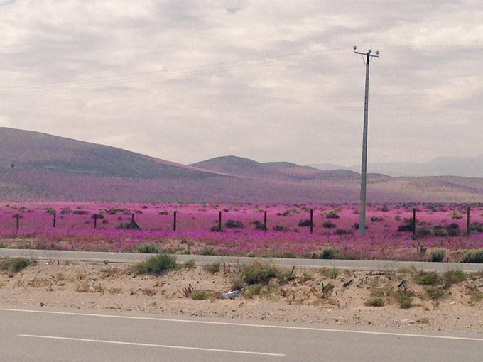 View image on Twitter View image on Twitter