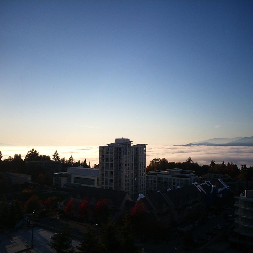 puddingcatbeans's tweet photo. MARSHMALLOW OCEAN!! #dormview http://t.co/dB4aZ11sDk