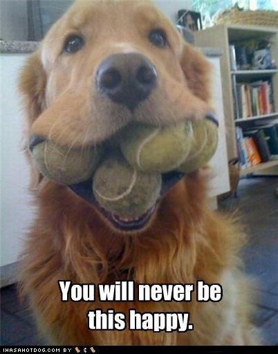 appsotastic's tweet photo. Will you ever be this happy? Visit our games at http://t.co/YNj7nbuaFS for hours of fun! #iOSapp #funny http://t.co/FXUkgEA2M0
