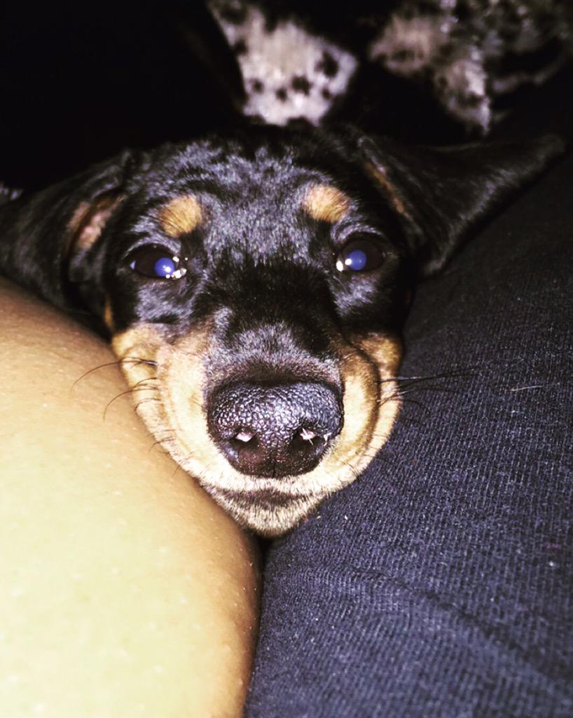MicahCreel's tweet photo. I'm literally obsessed! http://t.co/yuLLb7B4Lx