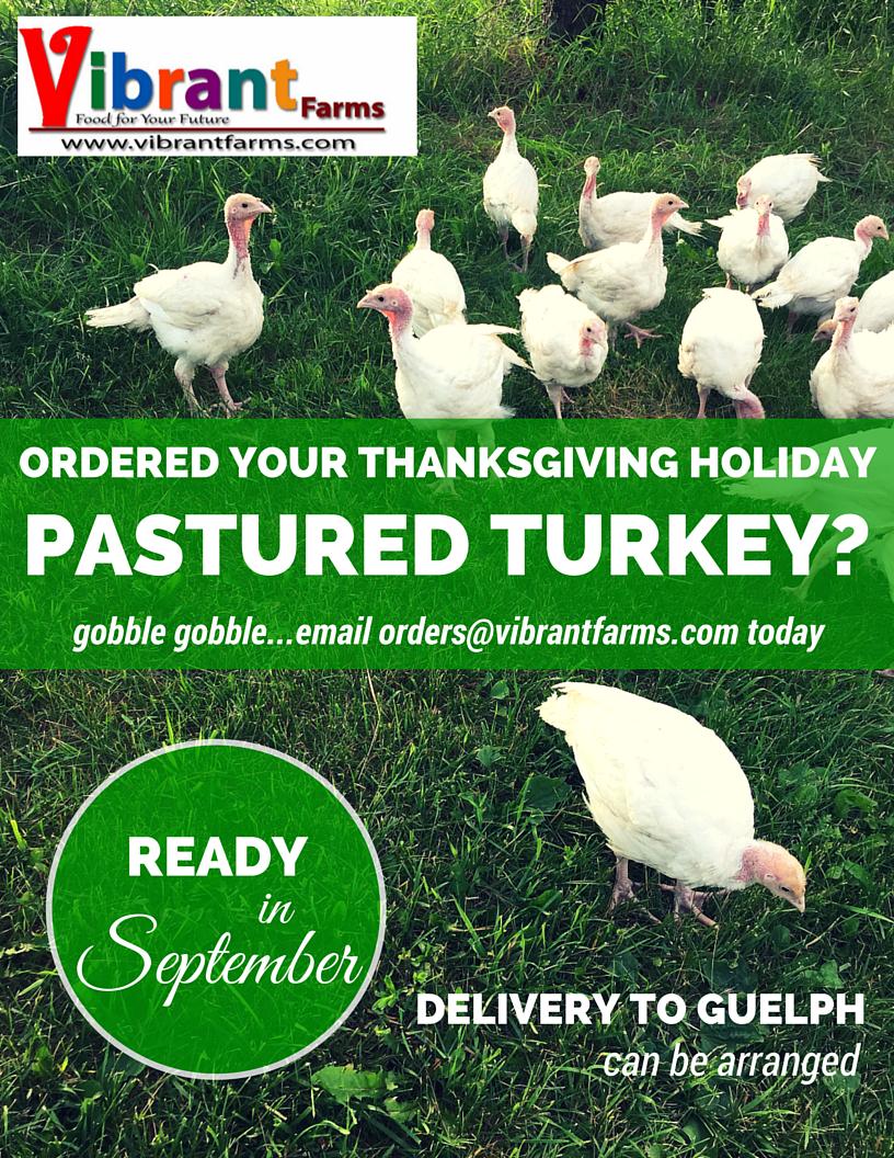 afarmdaughter's tweet photo. Pastured FRESH drug-free #Turkey 15-22lb @ #VibrantFarms Email orders@vibrantfarms.com #Thanksgiving #itsnottoolate http://t.co/MZMZpBpQ2J