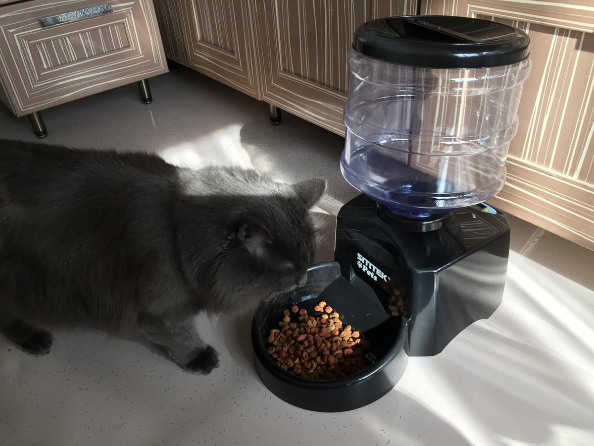 post_tech's tweet image. Можно не беспокоится за кота на выходных )  #rКотНакормлен #СытыйКот #Автокормушка