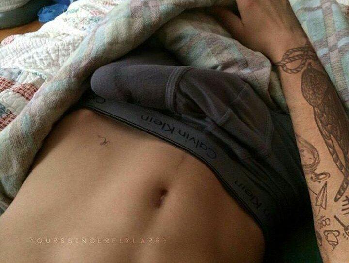 _Its_A_Secret__'s tweet photo. #louisdick #LouisTomlinson #harrysproperty #harrystyles http://t.co/js82PDmF0O