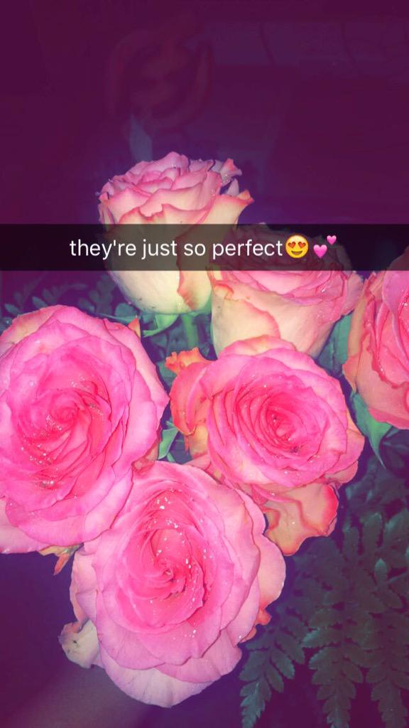ohkhayla's tweet photo. i'll always love roses🌹 http://t.co/3B8IyedVqQ