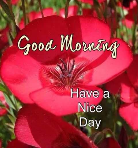 RsinghRekha's tweet photo. @HarbirSinghSuri http://t.co/qB3YIVebpY