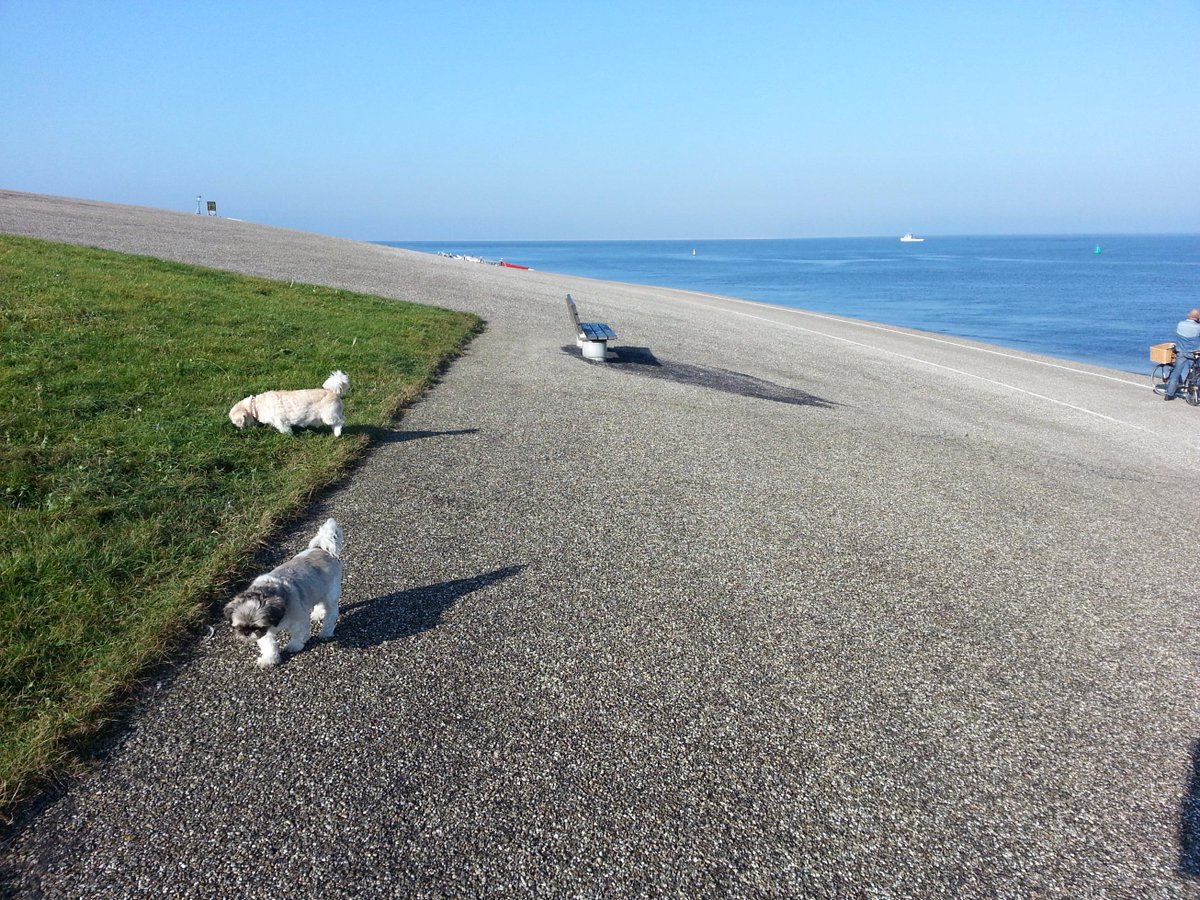 c Breakfastさんのツイート It S Already Been A Sunny Start To October We D Love To See Your Weather Photos Our Email cbreakfast c Co Uk Http T Co Hm2xjgfavu