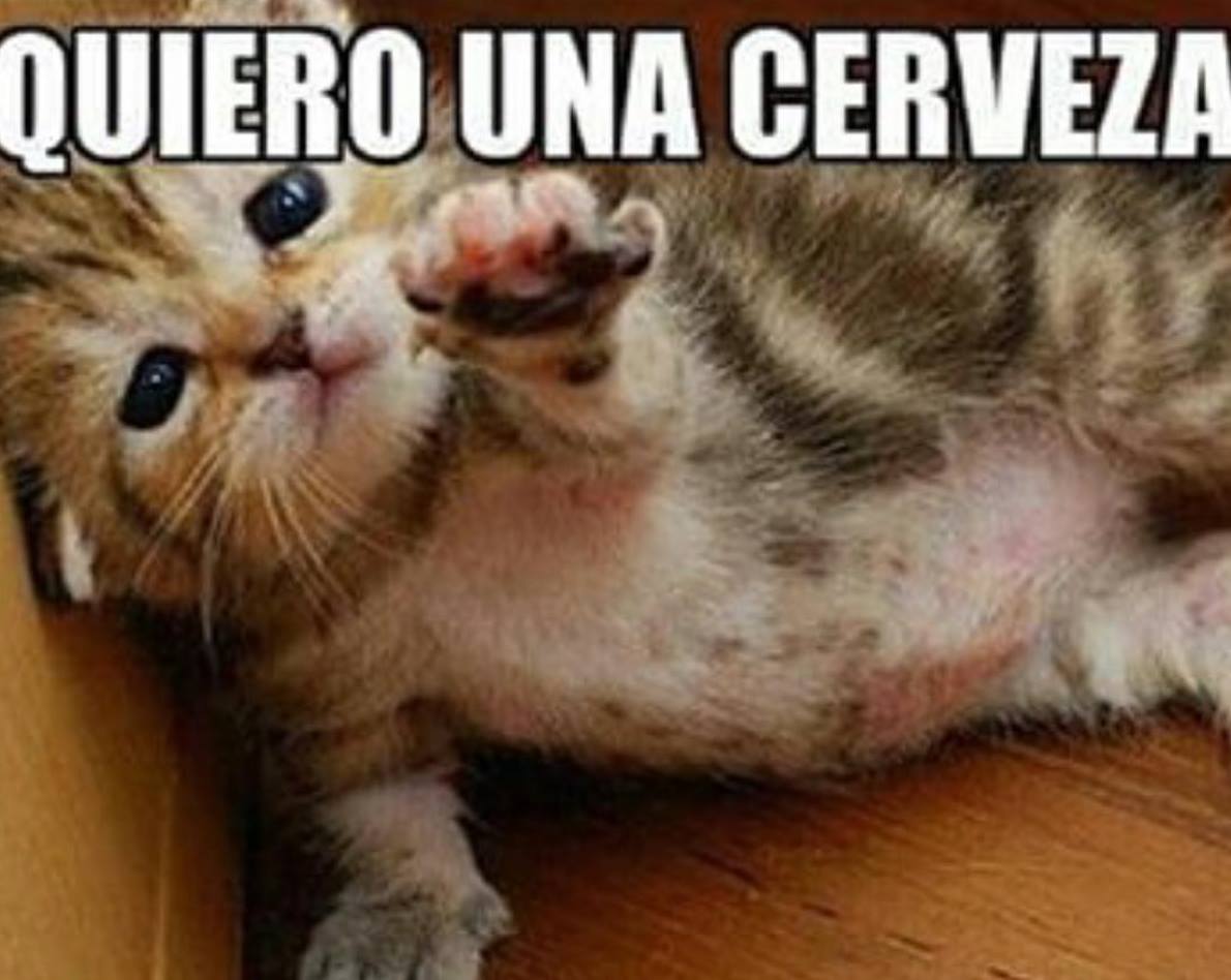 Mit On Twitter Se Acerca El Viernes Y Mi Cuerpo Lo Sabe Via