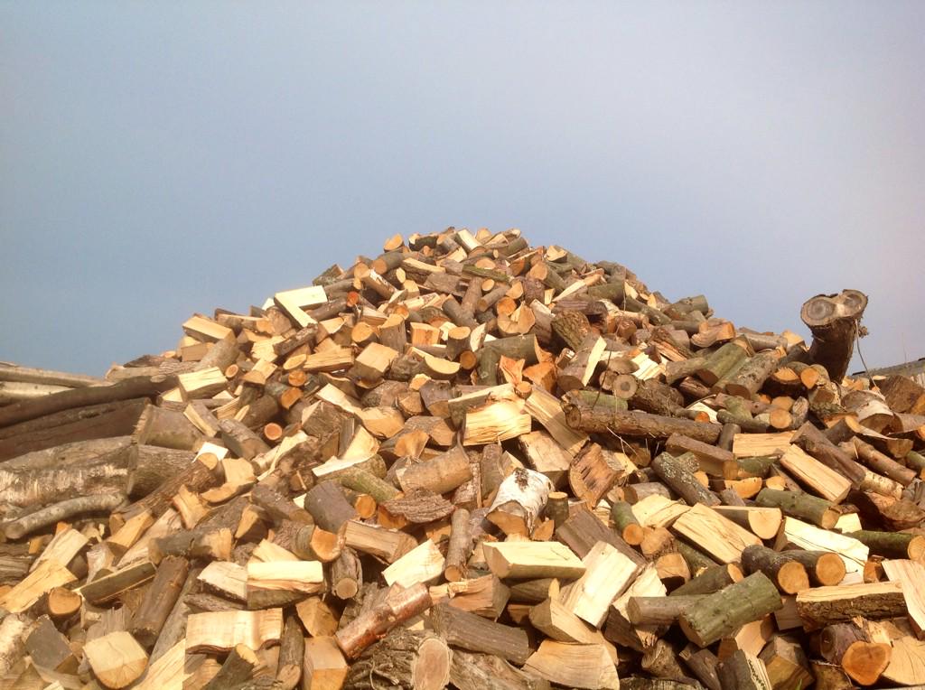 Wild Sussex tweet media