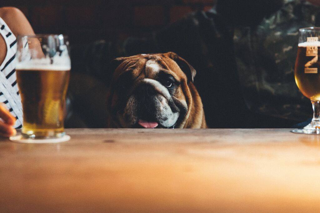 TheTownWallPub's tweet photo. HAVE AN EASY WEEKEND... with @easybeers low abv pilsner from @wylambrewery ...tastes lush... enjoy x http://t.co/GqgsMQWTt4