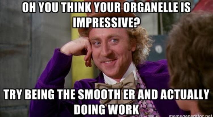 SMOOTH__ER's tweet photo. @MrHeitkamp #organellewars http://t.co/3J82v9IaCE
