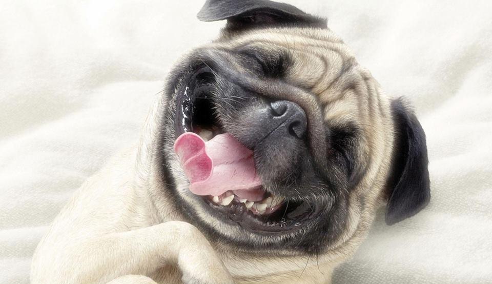 Crown_Trophy's tweet photo. The face you pull when you realise it’s Friday morning! The weekend is almost here #FridayFeeling #Weekend #Funny http://t.co/NCjz98bbYq