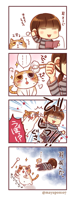 酒井まゆ 酒井まゆ🐰ブルビ連載中 (@mayupon107) / X