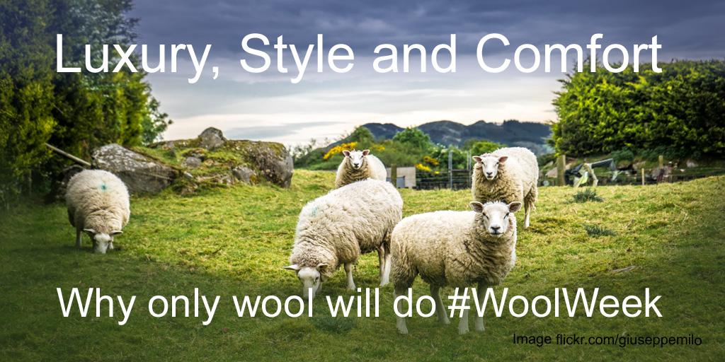 M_Sedwell's tweet photo. Why only wool will do for our Master Tailor @AndrewRamroop http://t.co/zlEt5egu1G #woolweek #sheepontherow http://t.co/wAOK0JW34a