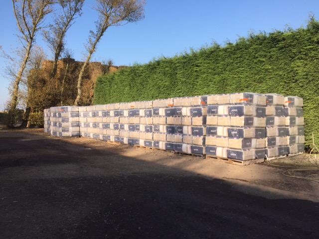 CavieraBedding's tweet photo. Form an orderly queue for ur horse bedding please.There's enough for everyone:) #superabsorbent #rotsfast #rapestraw http://t.co/11AFTNvKvS