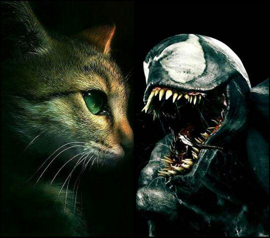 JonathanViera90's tweet photo. Y aunque no lo parezcan son 2 imágenes separadas http://t.co/1lTROO0gID