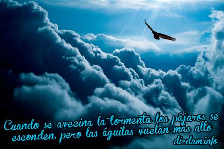 Dirdam2's tweet photo. "Cuando se avecina la tormenta los pájaros se esconden, pero las águilas vuelan más alto" http://t.co/J6aBrZgFFN