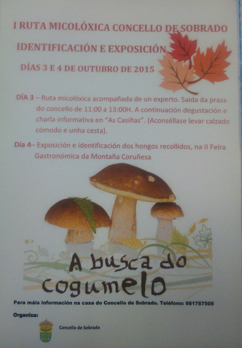 #IRutaMicolóxica Concello de Sobrado. Recollida e desgustación de cogumelos. Esperamosvos