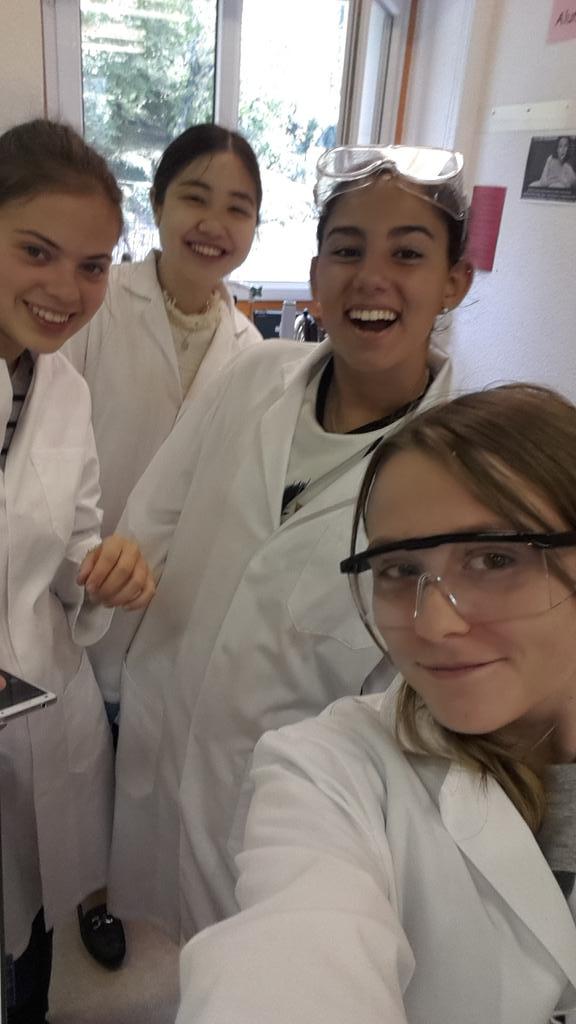 schroodingercat's tweet image. Кратко об уроках химии заграницей: